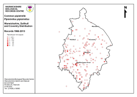 Distribution map for Common Pipistrelle bats in Warwickshire. (Click for a full sized image)